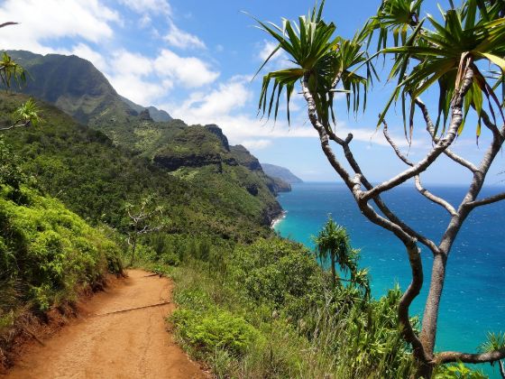 scenic drive on cliff-side dirt road along Hawaii coast